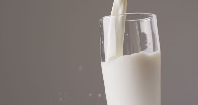 Image of glass of fresh milk on grey background - Download Free Stock Photos Pikwizard.com
