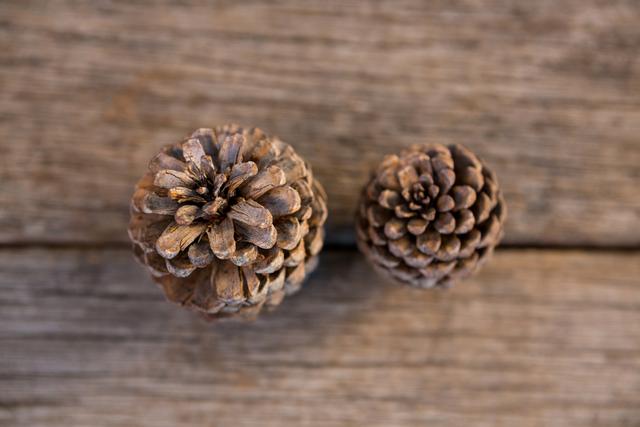 Pine cone on wooden plank - Download Free Stock Photos Pikwizard.com
