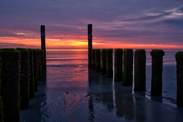 Beach dawn dusk nature - Download Free Stock Photos Pikwizard.com