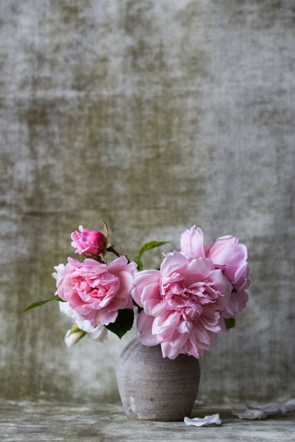 Pink Flowers on White Ceramic Vase - Download Free Stock Photos Pikwizard.com