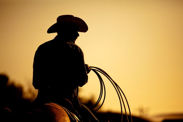 Rear view of silhouette of a man wearing a cowboy hat riding a horse. Vacation and outdoor activity concept