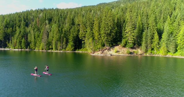 Two individuals are paddleboarding on a serene lake surrounded by lush green forests, with copy space. Engaging in this water sport, they enjoy the tranquility and natural beauty of the outdoor setting.