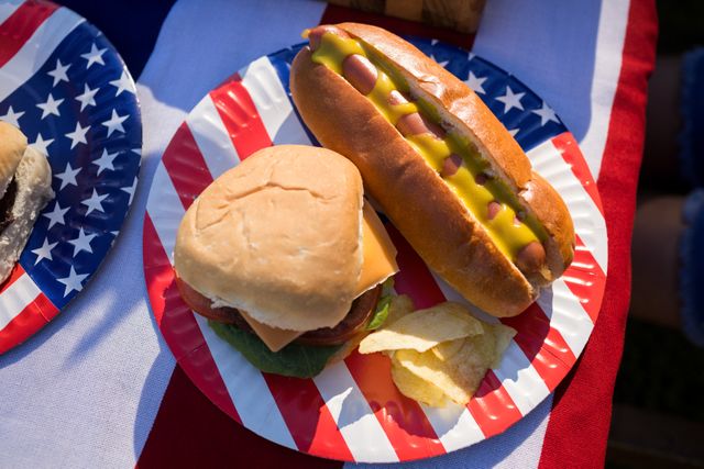 Close-up of hot dog, hamburger and crisps served in the plate