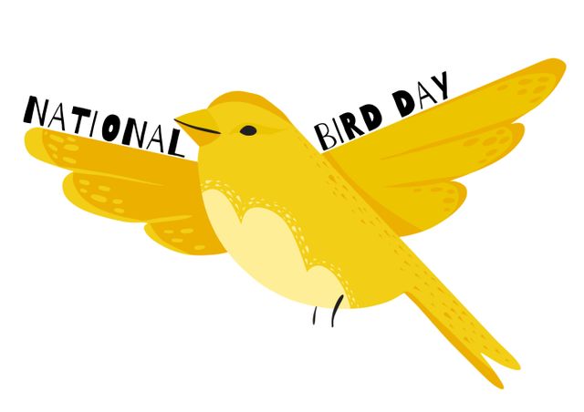Digital composite image of national bird day text with yellow songbird on white background - Download Free Stock Photos Pikwizard.com
