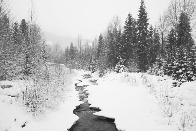 Snow Ice Winter - Download Free Stock Photos Pikwizard.com