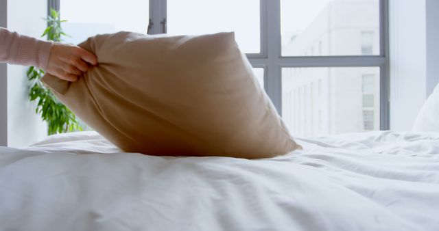Young Caucasian woman fluffs a pillow at home, with copy space - Download Free Stock Photos Pikwizard.com