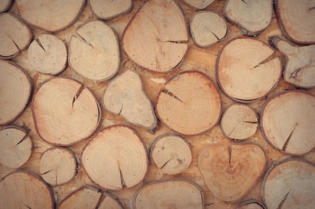 Slice of Brown Wooden Log - Download Free Stock Photos Pikwizard.com