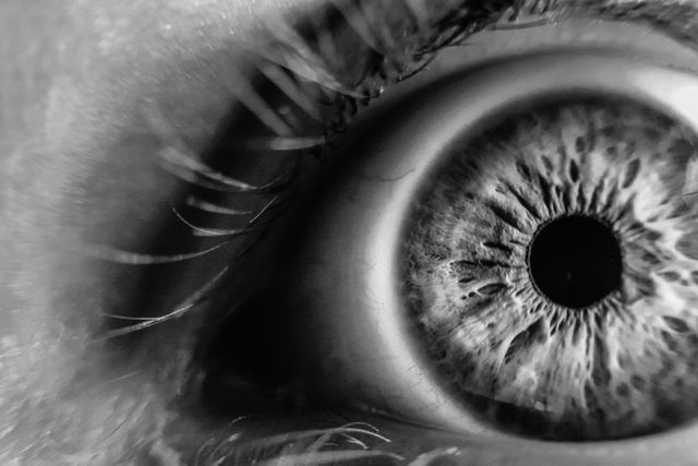 Grayscale Photo of Human Eye - Download Free Stock Photos Pikwizard.com