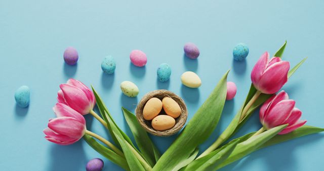 Image of decorated colorful easter eggs and flowers on a blue surface - Download Free Stock Photos Pikwizard.com