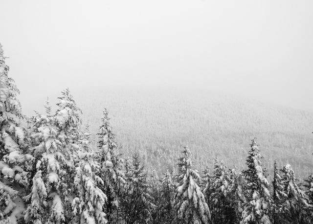 Snow Winter Season - Download Free Stock Photos Pikwizard.com
