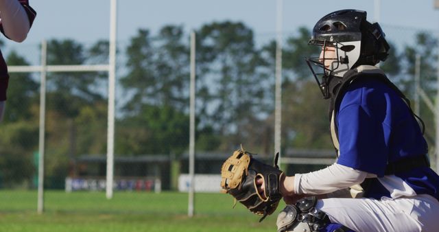 3,600+ Baseball Catcher Stock Photos, Pictures & Royalty-Free