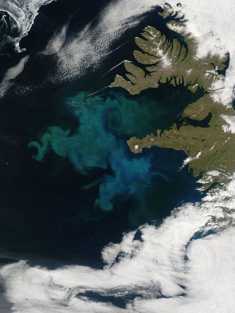 Phytoplankton bloom off western Iceland - Download Free Stock Photos Pikwizard.com