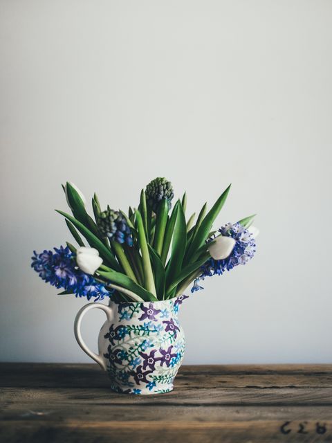 Flower Plant Vase - Download Free Stock Photos Pikwizard.com