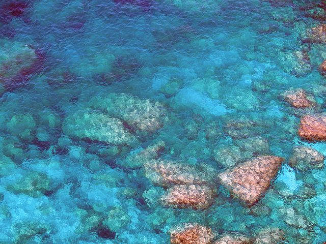 Reef Coral Underwater - Download Free Stock Photos Pikwizard.com