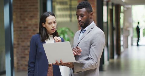 Two happy diverse business people working together, using laptop in modern office. business and office workplace.