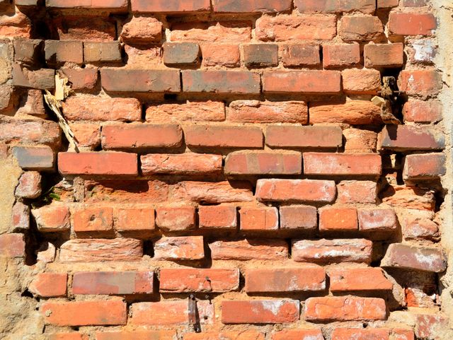 Backdrop background brick wall bricks - Download Free Stock Photos Pikwizard.com