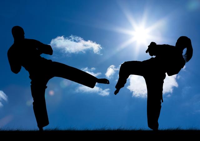 Silhouette of athletes practicing karate on a sunny day - Download Free Stock Photos Pikwizard.com