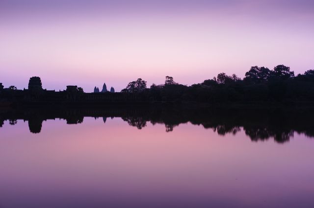 Landscape Photography of Silhouette of Trees and Buildings Under Purple and White Sky - Download Free Stock Photos Pikwizard.com