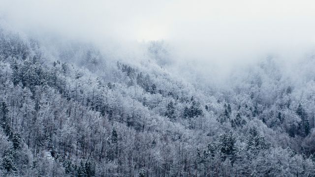 a snowy mountain - Download Free Stock Photos Pikwizard.com
