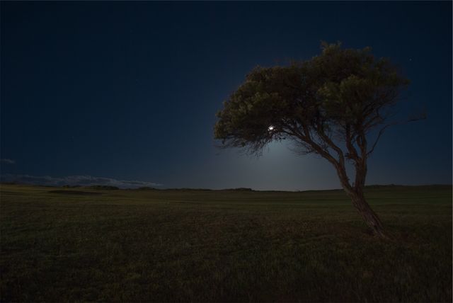 Moon night dark- Download Free Stock Photos Pikwizard.com