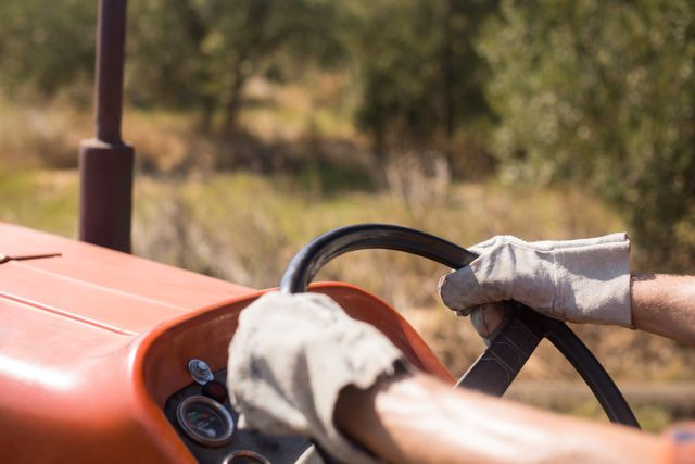 Close-up of man driving tractor in olive farm - Download Free Stock Photos Pikwizard.com