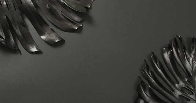 Black monstera plant leaves on dark grey background with copy space. Dark, monochrome, mysterious background concept digitally generated image.