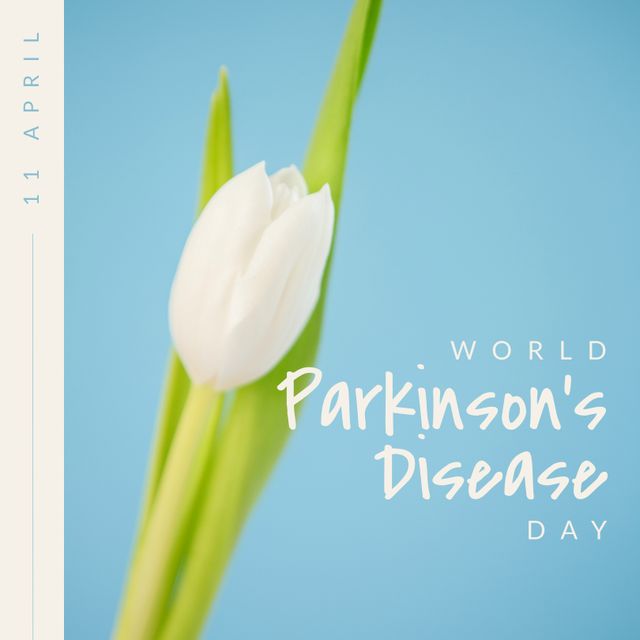 Composition of parkinson's awareness day and white tulip on blue background. Parkinson's awareness day and healthcare concept.