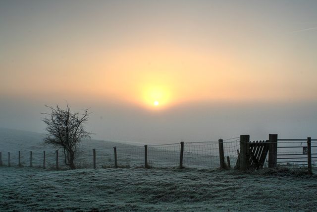 Foggy morning sunset - Download Free Stock Photos Pikwizard.com