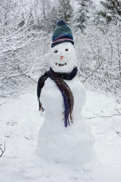 20+ Free Snowman Images | Free Downloads - Pikwizard