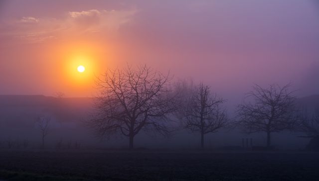 a sunrise in the fog - Download Free Stock Photos Pikwizard.com