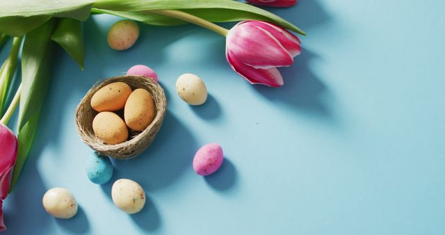 Image of decorated colorful easter eggs and flowers on a blue surface - Download Free Stock Photos Pikwizard.com