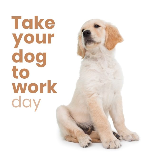 Digital composite image of take your dog to work day text by labrador retriever on white background. loyalty and animal concept.
