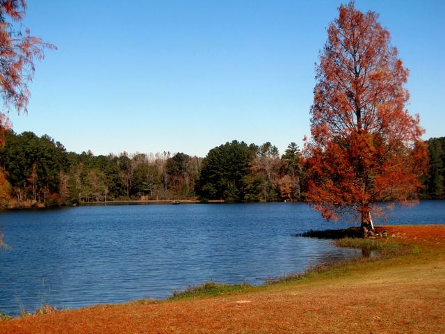 Lake Water Autumn Fall Trees - Download Free Stock Photos Pikwizard.com