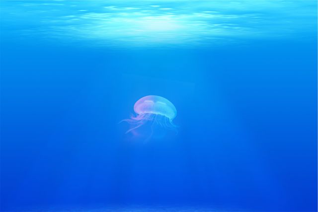 Jellyfish under water sea  - Download Free Stock Photos Pikwizard.com