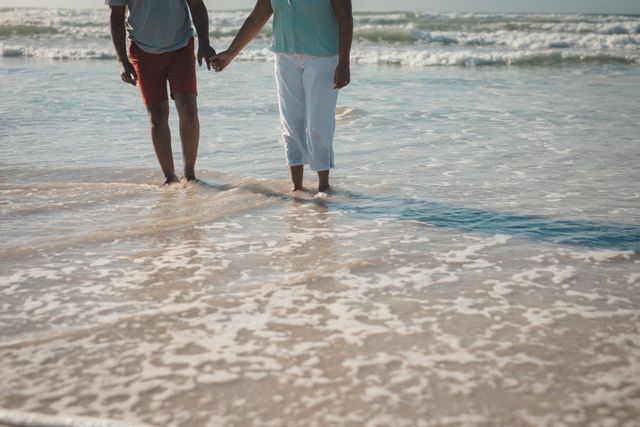 Midsection of african american male and female holding hands and walking on seashore - Download Free Stock Photos Pikwizard.com
