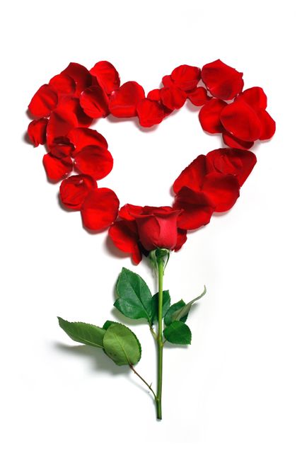 a heart made out of red rose petals - Download Free Stock Photos Pikwizard.com
