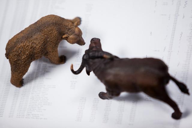 Miniature bear and charging buffalo - Download Free Stock Photos Pikwizard.com