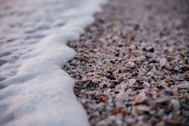 White and Grey Pebbles Near Sea Shore - Download Free Stock Photos Pikwizard.com