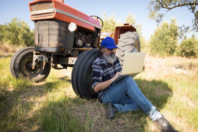 Man using laptop in olive farm - Download Free Stock Photos Pikwizard.com