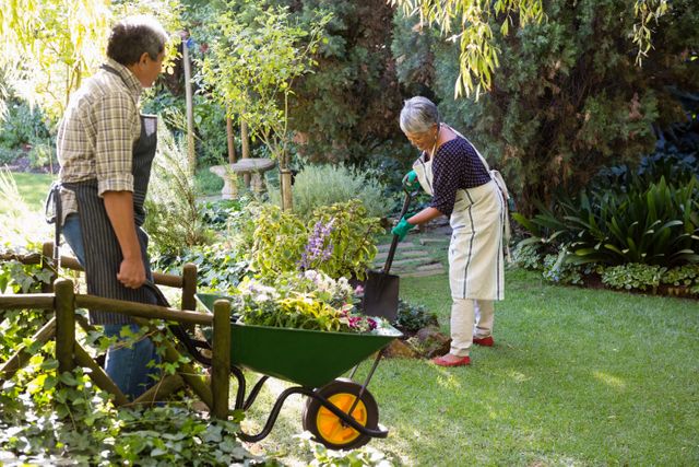 Senior couple gardening in the garden - Download Free Stock Photos Pikwizard.com