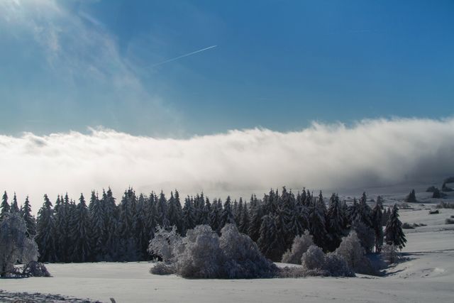 Hochrhoen rhon winter snow snowy - Download Free Stock Photos Pikwizard.com