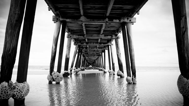 Pier dock bridge- Download Free Stock Photos Pikwizard.com