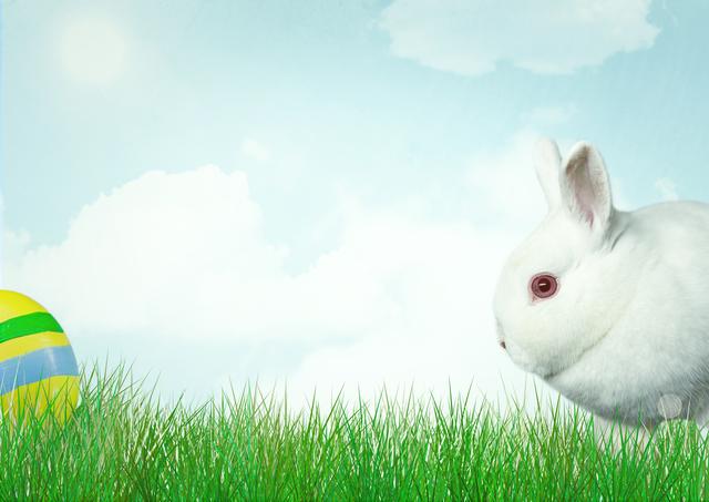 White rabbit with colors egg. Happy Easter. - Download Free Stock Photos Pikwizard.com