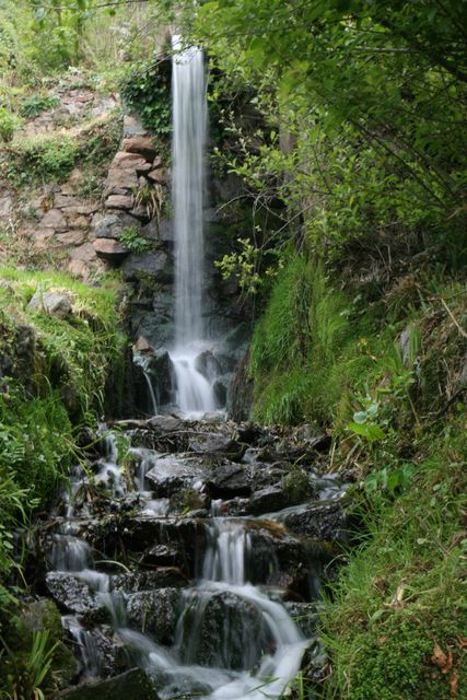 View of Waterfall in Forest - Download Free Stock Photos Pikwizard.com