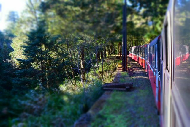 a train going through the woods - Download Free Stock Photos Pikwizard.com