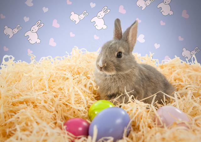Digital composite of Easter rabbit in front of pattern