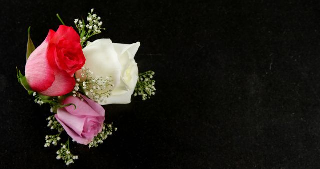 Bouquet of red, white and pink roses on black surface - Download Free Stock Photos Pikwizard.com