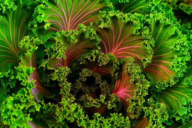 Healthy Vegetable Fresh - Download Free Stock Photos Pikwizard.com