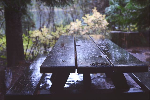 Picnic table wood raining  - Download Free Stock Photos Pikwizard.com