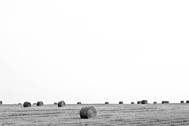 Black and white nature sky field - Download Free Stock Photos Pikwizard.com